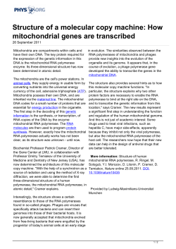 Structure of a molecular copy machine: How