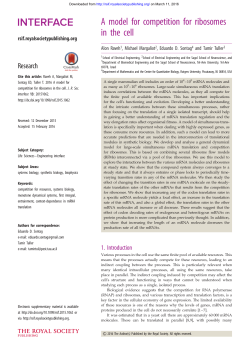 A model for competition for ribosomes in the cell