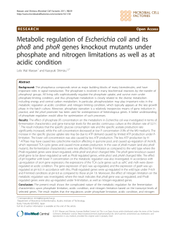 Metabolic regulation of Escherichia coli and its phoB and phoR