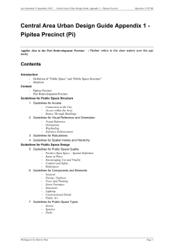 Central Area Urban Design Guide Appendix 1