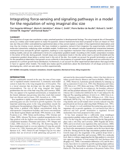 Integrating force-sensing and signaling pathways in