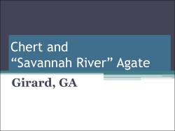 Chert and &ldquo;Savannah River&rdquo; Agate - Aiken Gem, Mineral and Fossil