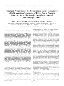 Changed Properties of the Cytoplasmic Matrix Associated
