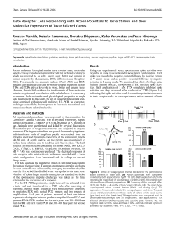 Taste Receptor Cells Responding with Action