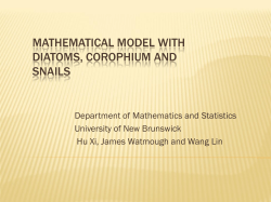 Math Model with Diatoms, Corophium and Snail Interactions