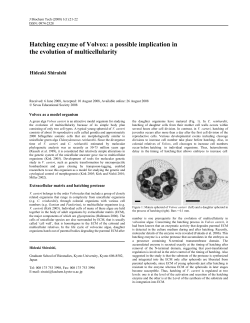 Hatching enzyme of Volvox: a possible implication in the evolution of