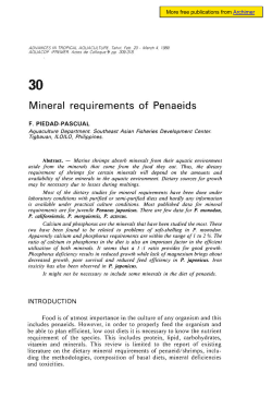 Mineral requirements of Penaeids - Archimer