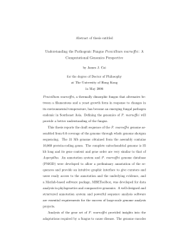 Understanding the Pathogenic Fungus Penicillium