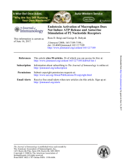 Stimulation of P2 Nucleotide Receptors Not Induce ATP Release