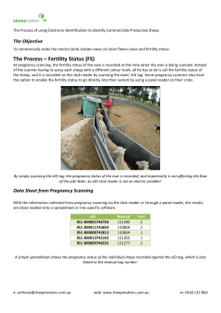 Using eID in a Commercial Sheep Operation