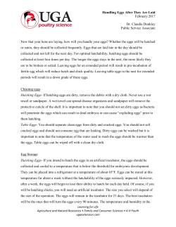 Handling Eggs After They Are Laid February 2017 Dr. Claudia