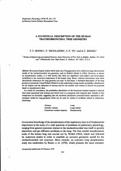 A STATISTICAL DESCRIPTION OF THE HUMAN
