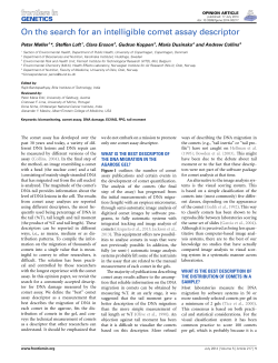 On the search for an intelligible comet assay descriptor