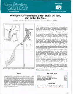 Cosmogenic 36Cl-determined age of the Carrizozo lava flows, south
