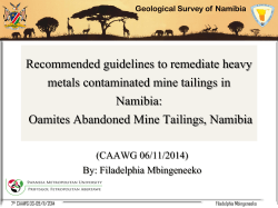 Mbingeneeko_Guidelines to remediate heavy metals