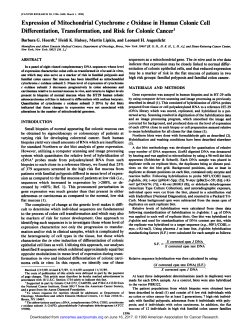 Expression of Mitochondria! Cytochrome c