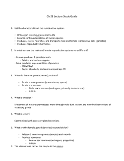 Ch 28 Lecture Study Guide