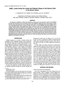 CaBP9K Levels during the Luteal and Follicular Phases of the