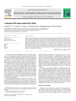 a-Shaped DNA loops induced by MutS Biochemical and Biophysical