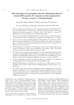 The interaction of nucleotides with the tolbutamide block of cloned