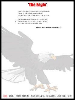 The Eagle - The Bad Pedagogue