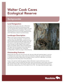 Walter Cook Caves Ecological Reserve