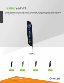 Feather Banners