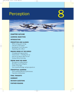 Perception