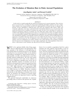 The Evolution of Mutation Rate in Finite Asexual Populations