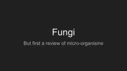 Kingdom Fungi Notes File - Claremont Secondary School