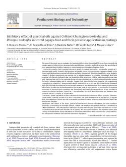 Inhibitory effect of essential oils against Colletotrichum