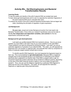 Lab #5c Mr. Green Genes-Transformation Results, Gel Electrophoresis