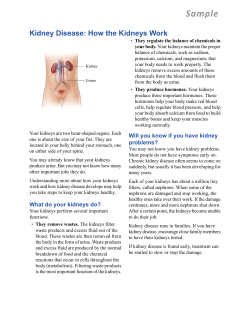 Kidney Disease: How the Kidneys Work