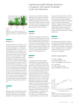 Engineering Durable Pathogen Resistance in