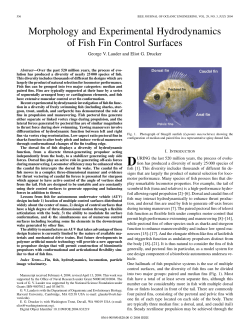 Morphology and Experimental Hydrodynamics of Fish Fin Control