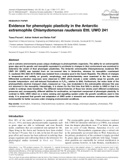 Evidence for phenotypic plasticity in the Antarctic extremophile
