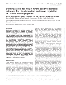 Defining a role for Hfq in Gram-positive bacteria: evidence for Hfq