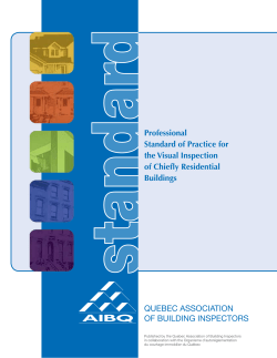 Professional Standard of Practice for the Visual Inspection