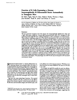 Function of B Cells Expressing a Human Immunoglobulin M