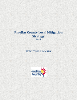 Pinellas County Local Mitigation Strategy Executive Summary