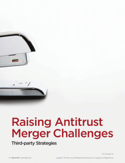 Raising Antitrust Merger Challenges