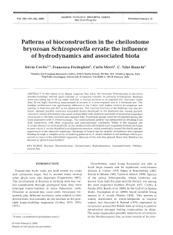 Full text in pdf format