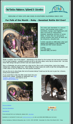 C.A.R.E. - Fur-Folk of the Month - Ruby