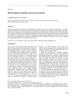 Photosynthetic organisms and excess of metals | SpringerLink