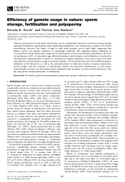 Efficiency of gamete usage in nature: sperm storage, fertilization and