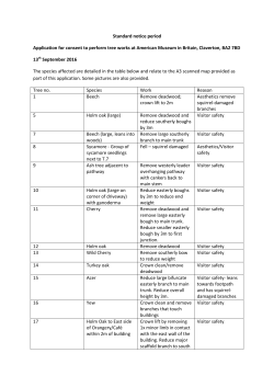 Standard notice period Application for consent to perform tree works