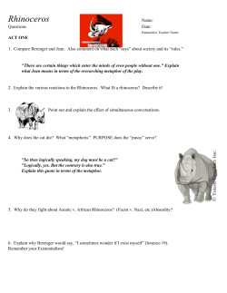2 Discussion Qs Rhinoceros
