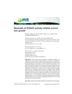 Blockade of S100A3 activity inhibits murine hair growth - FUNPEC-RP