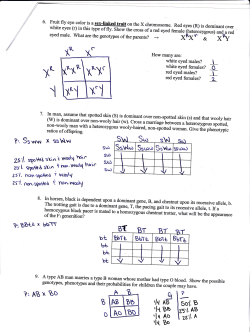 lxR\xY - Verona Public Schools