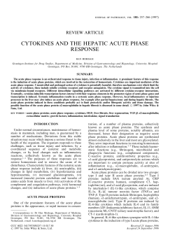 cytokines and the hepatic acute phase response